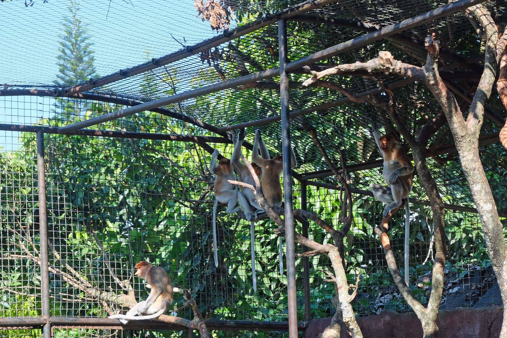 Batu Timur park