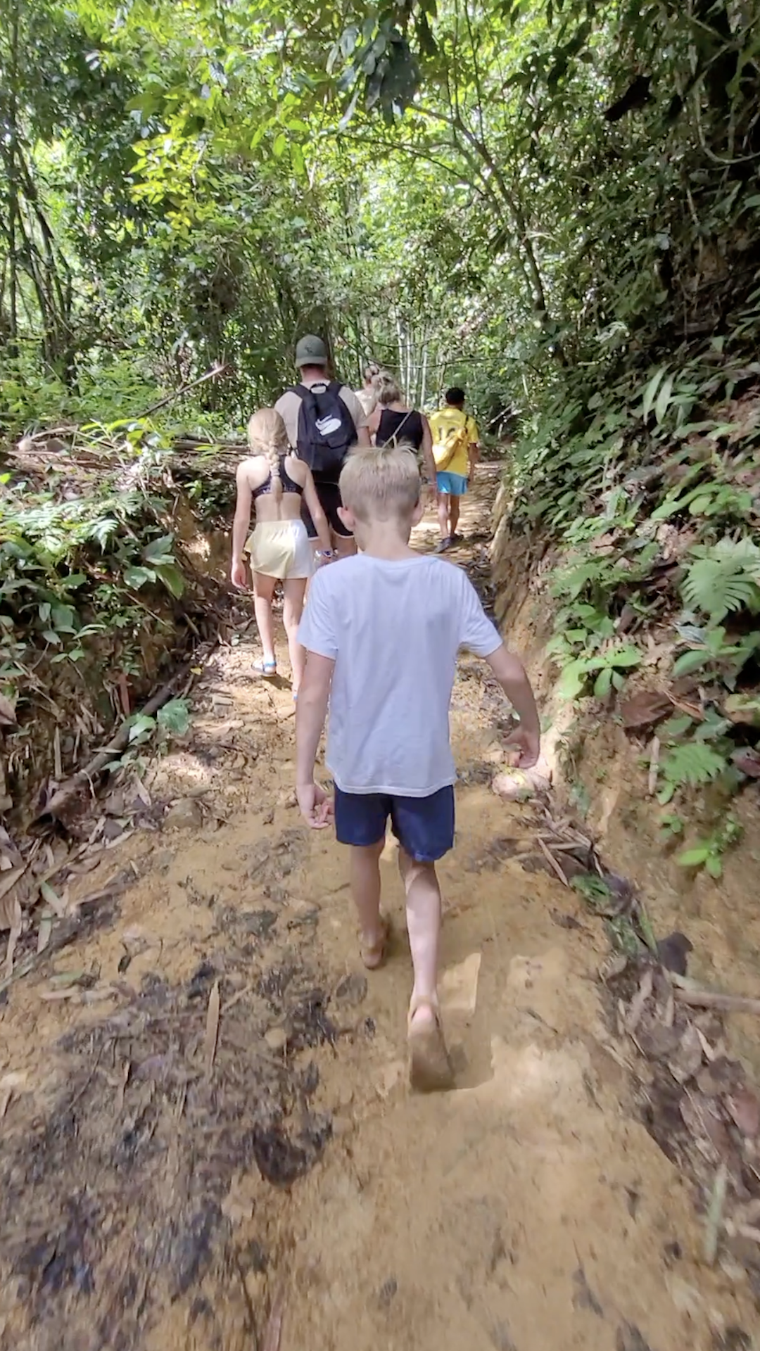 Khao Sok wandeling