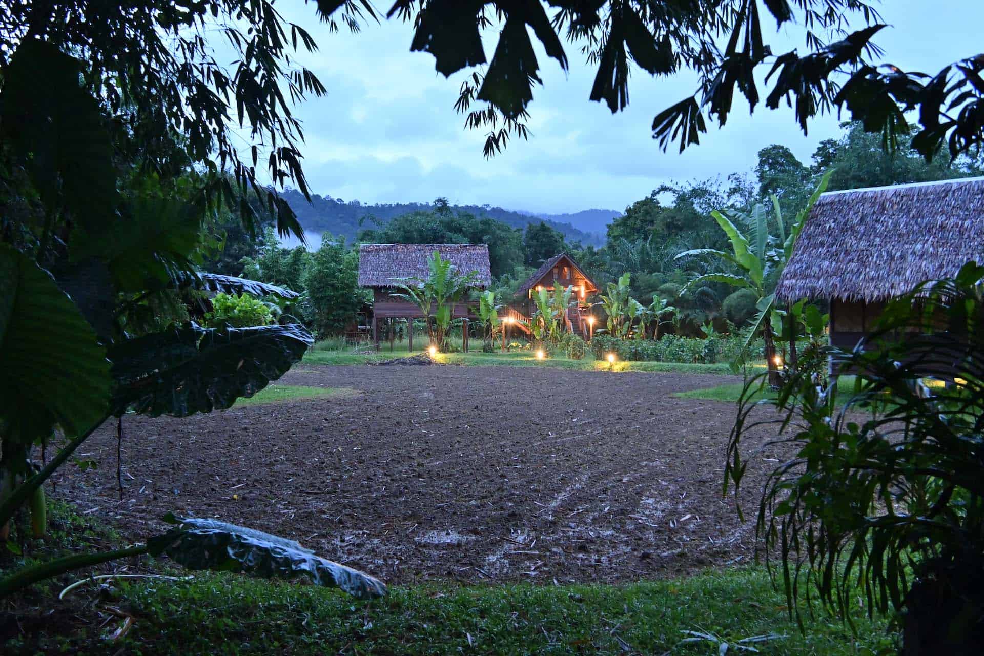 Khao Sok Jungle Camp