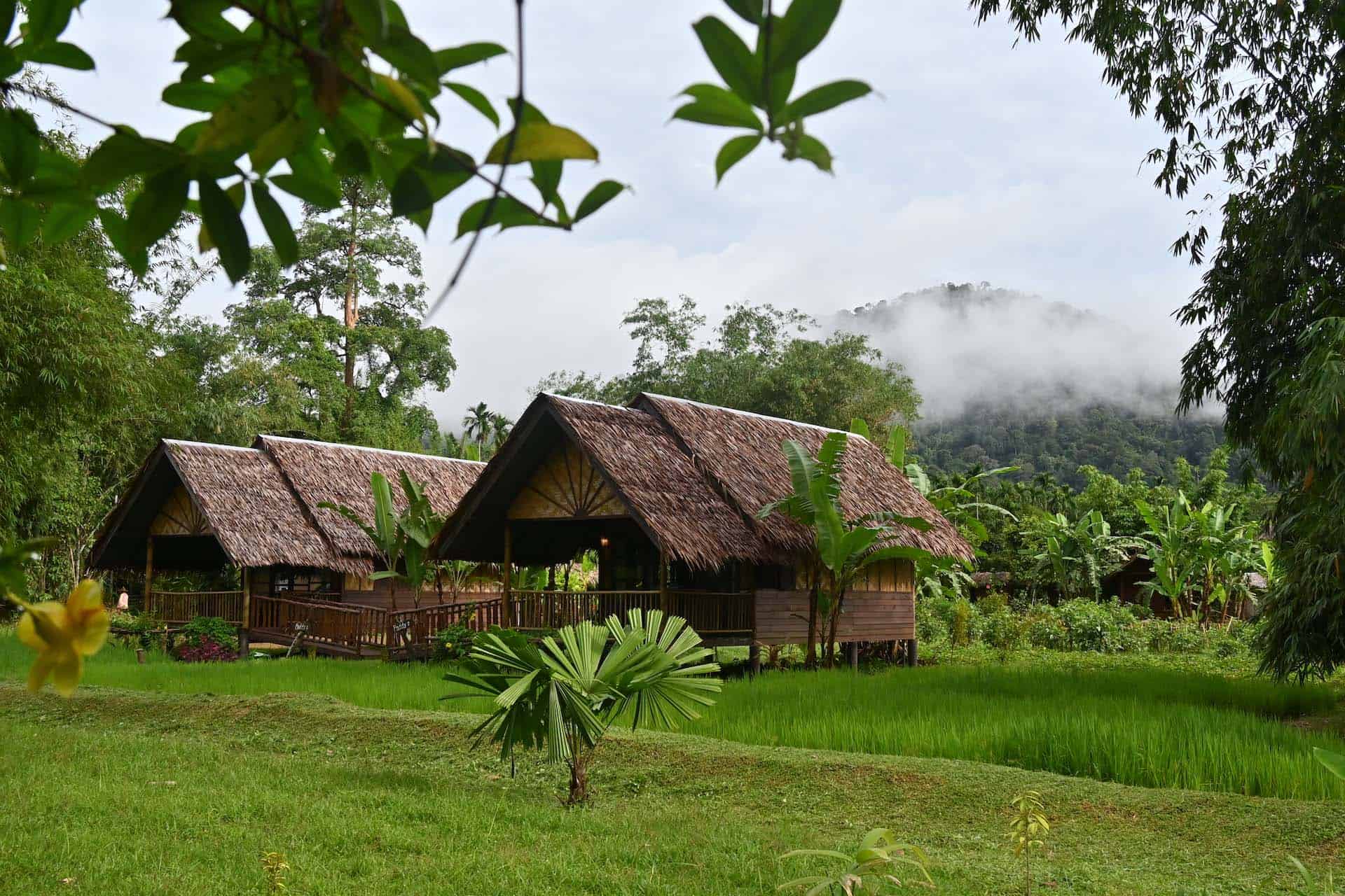 Khao Sok Jungle Camp