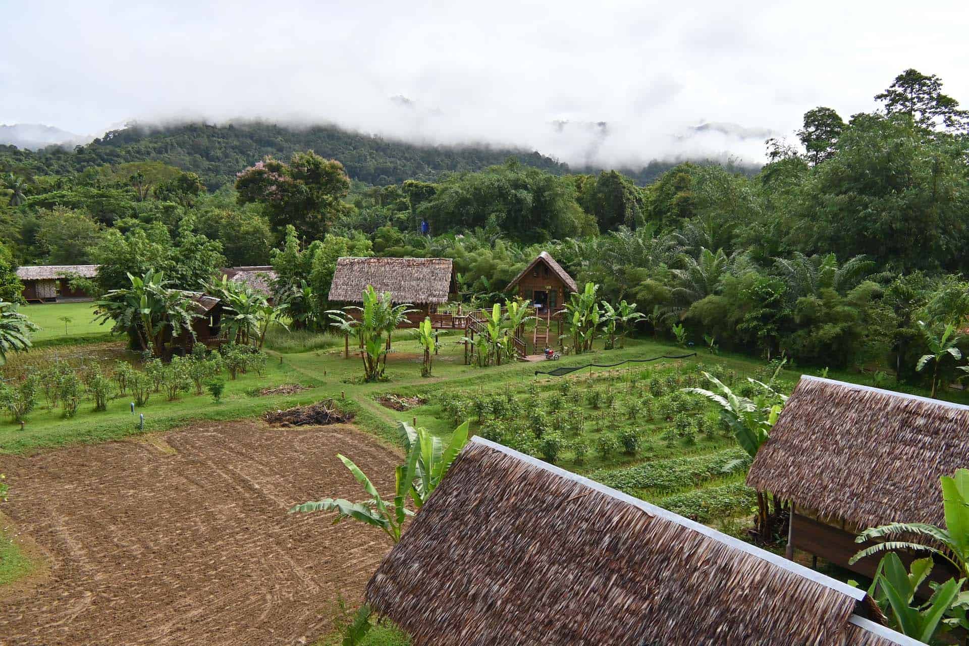 Khao Sok Jungle Camp