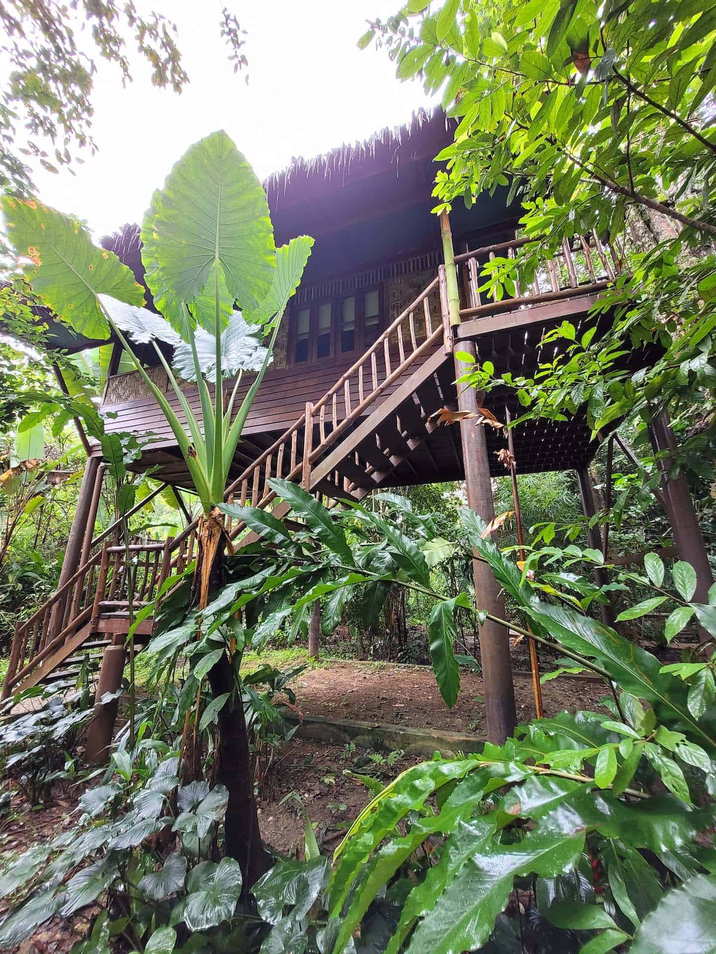 Khao Sok Jungle Camp