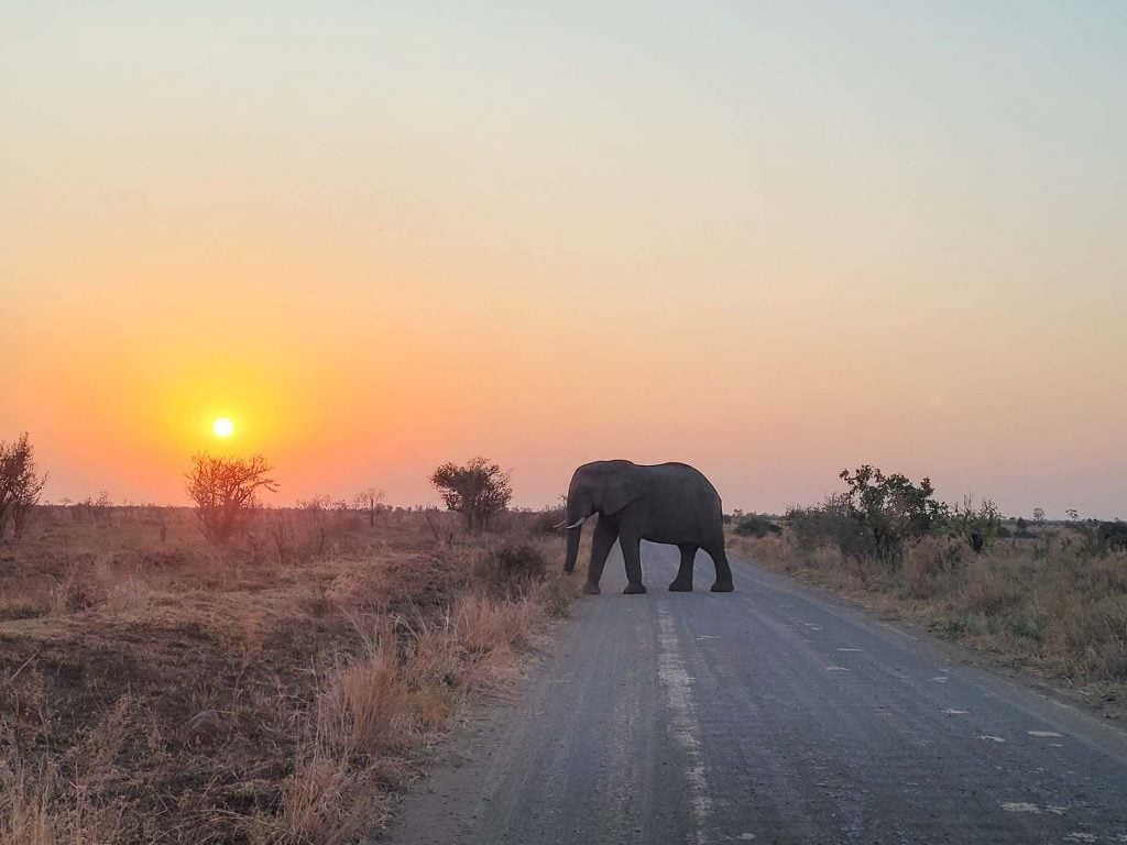 Mozambique en Zuid-Afrika per huurauto