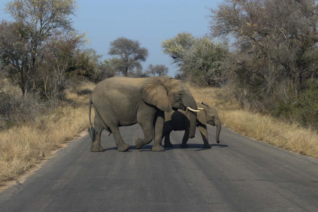 Mozambique en Zuid-Afrika per huurauto