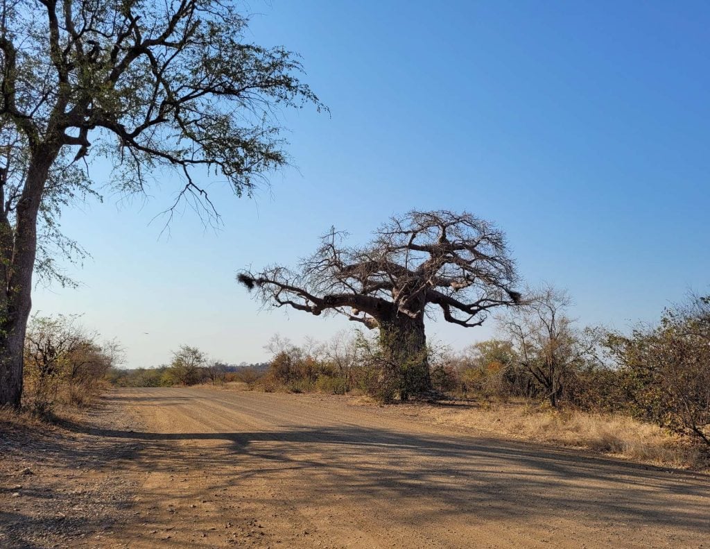 Mozambique en Zuid-Afrika per huurauto