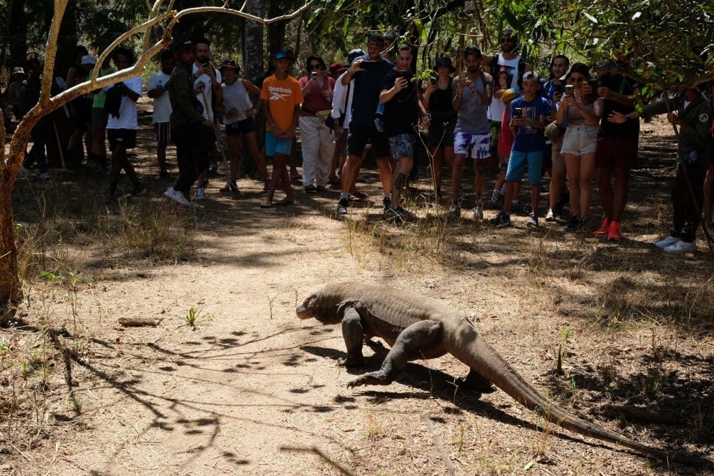 Komodo eiland