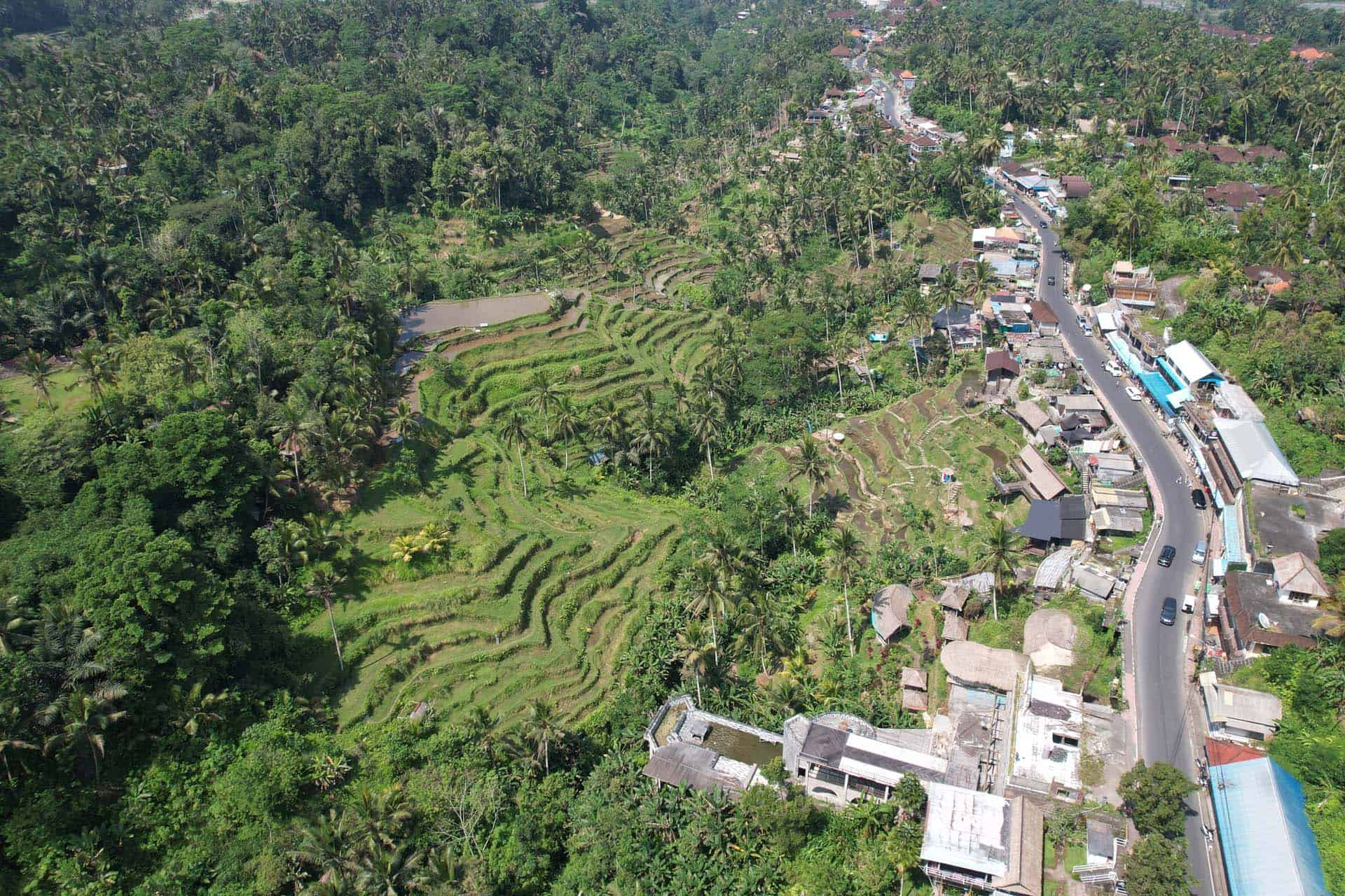 Ubud Bali