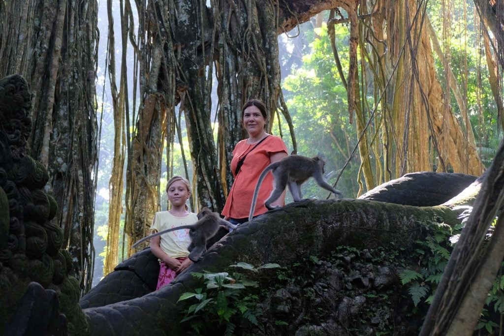 Ubud monkey forest