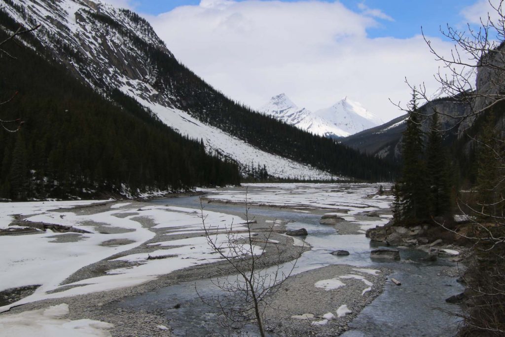 Jasper National Park