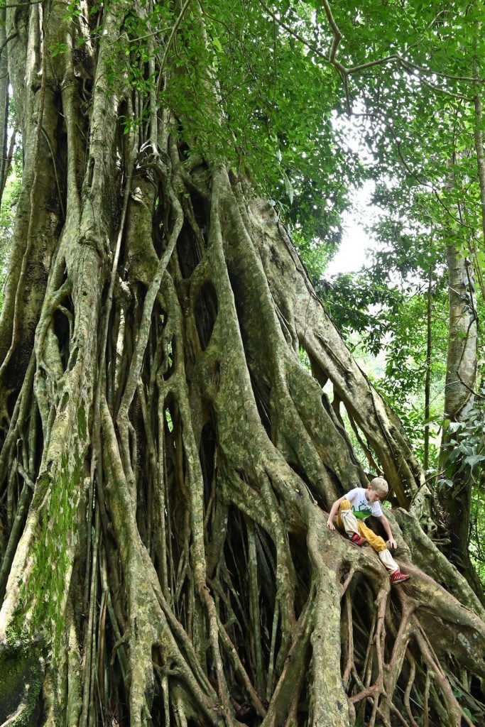 Khao Yai met kinderen