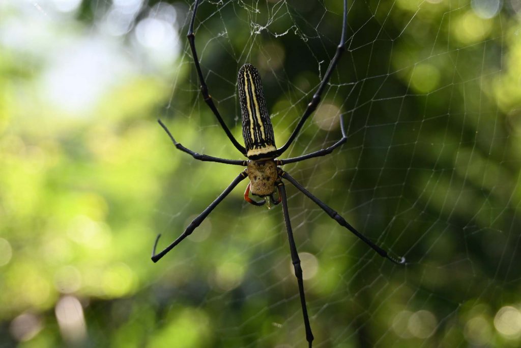 Khao Yai met kinderen