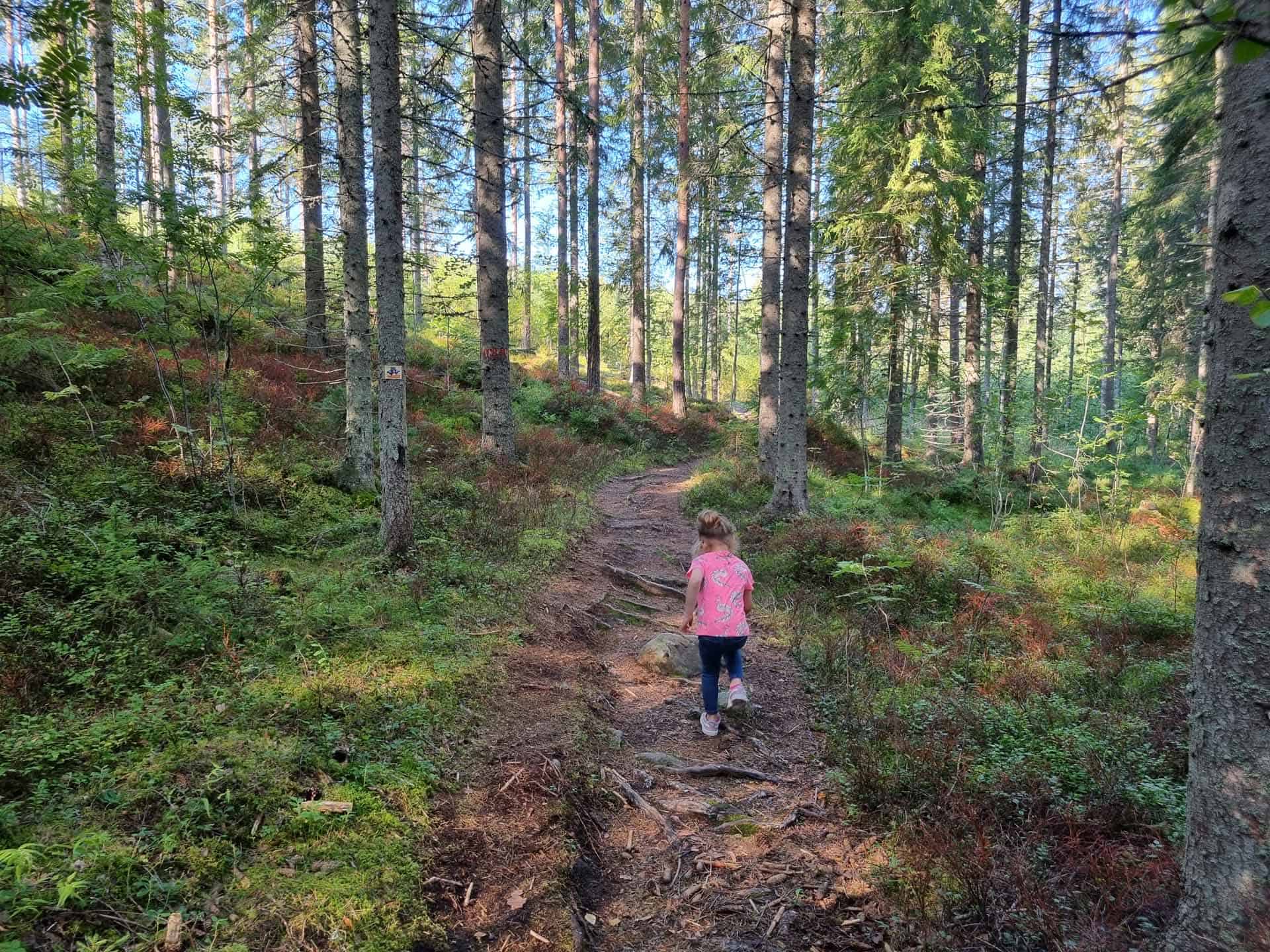 Bjursas familiewandeling Zweden