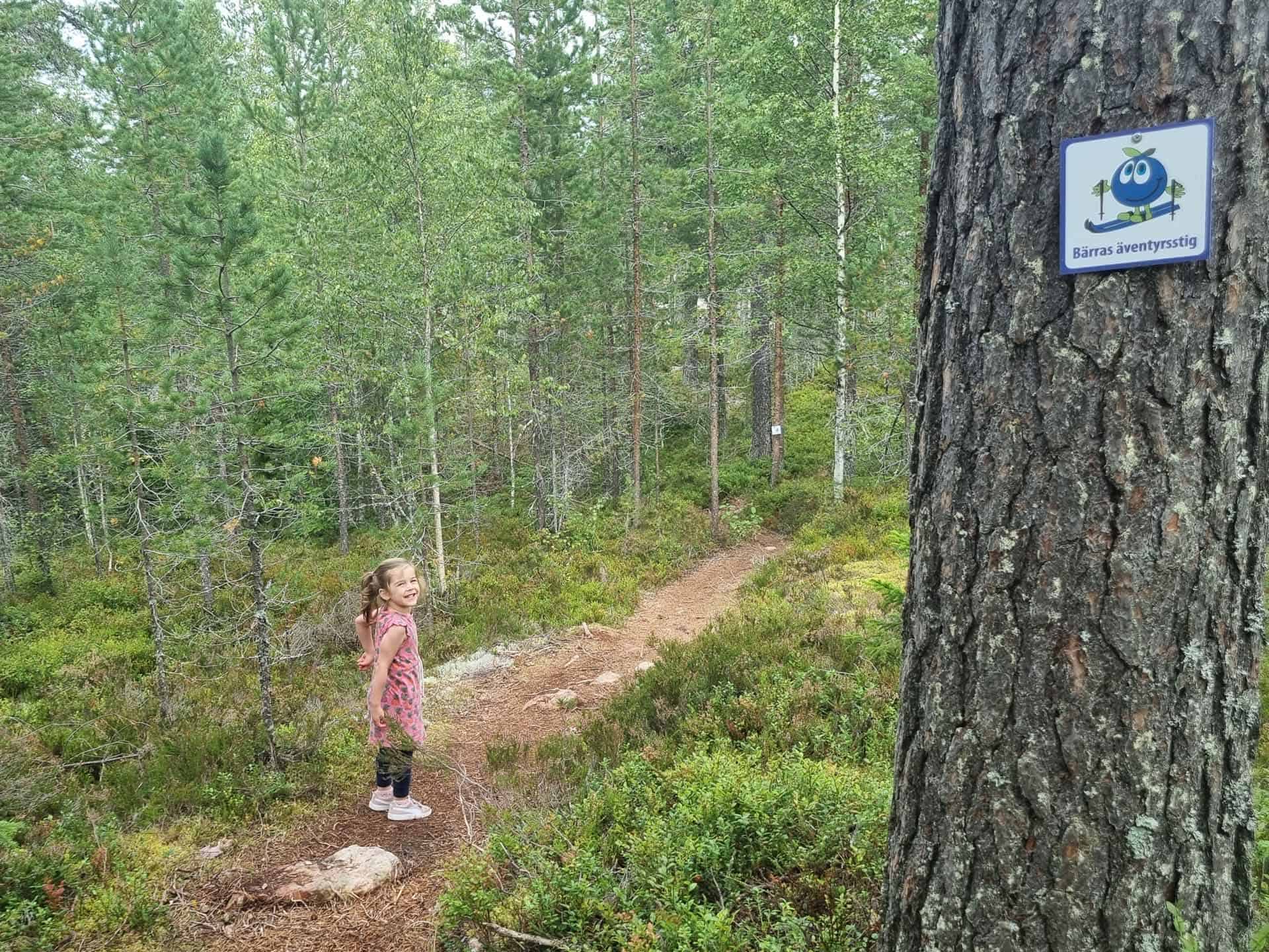 Orsa Gronklitt Dalarna Wandeling