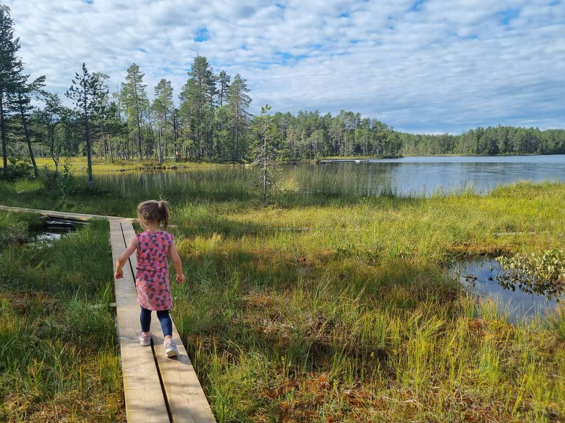 Orsa Gronklitt Dalarna Wandeling