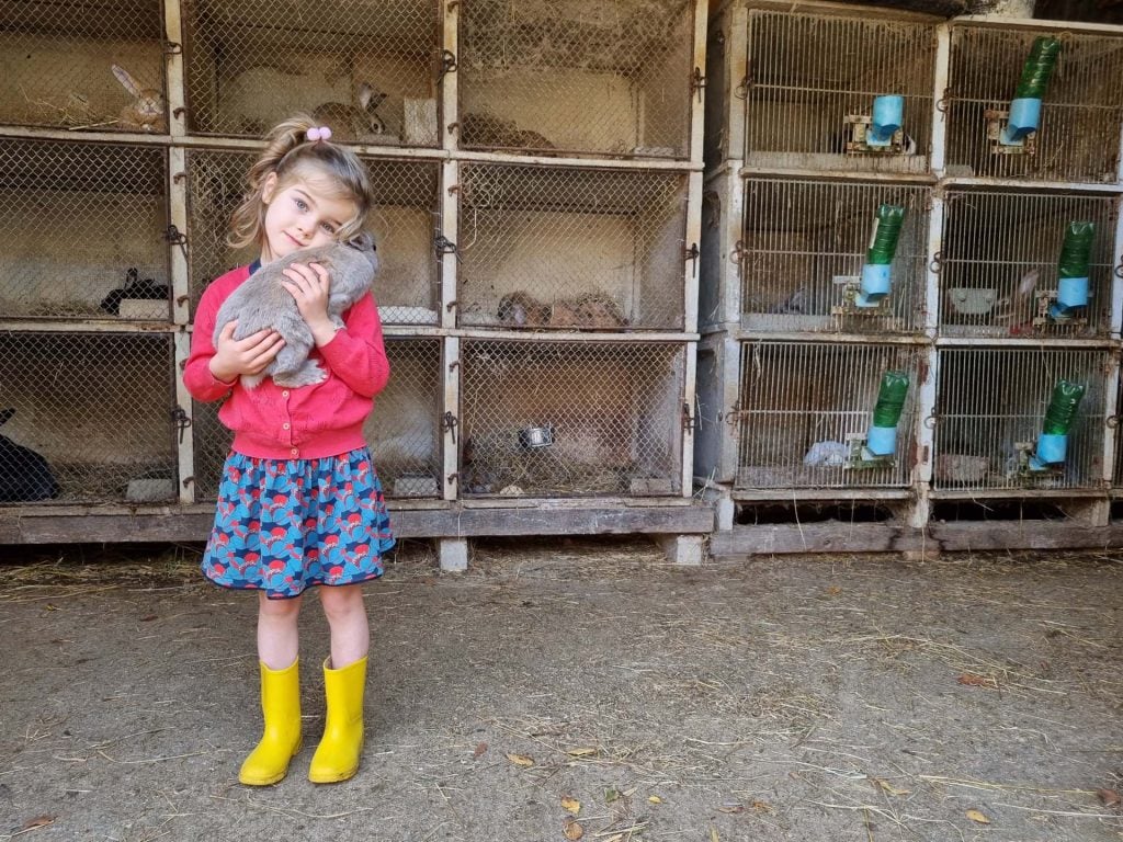 Ferme Pédagogique de la Marque