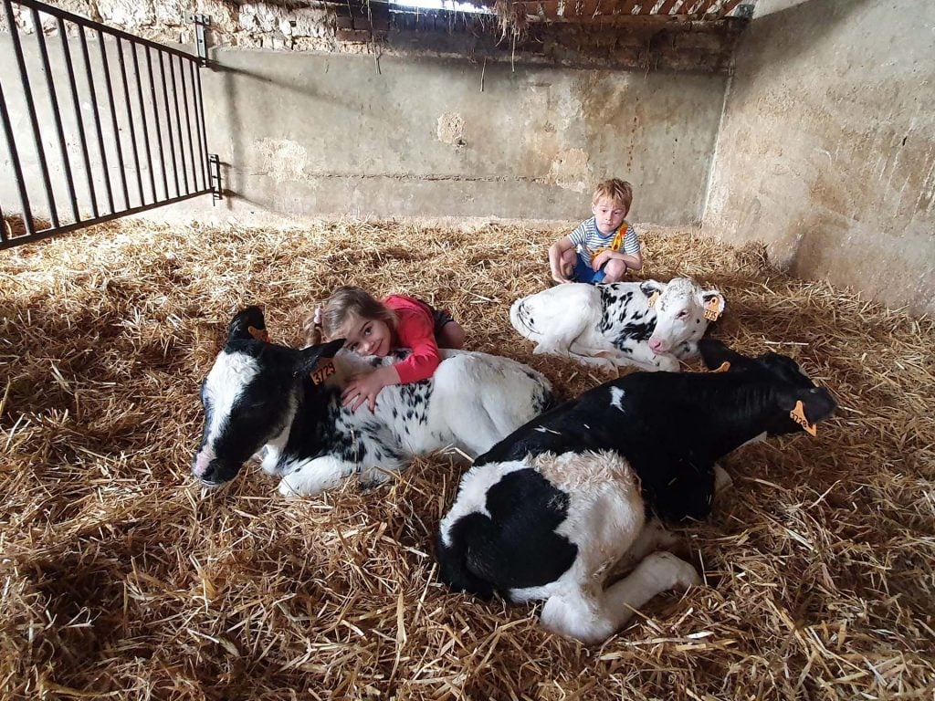 Ferme Pédagogique de la Marque