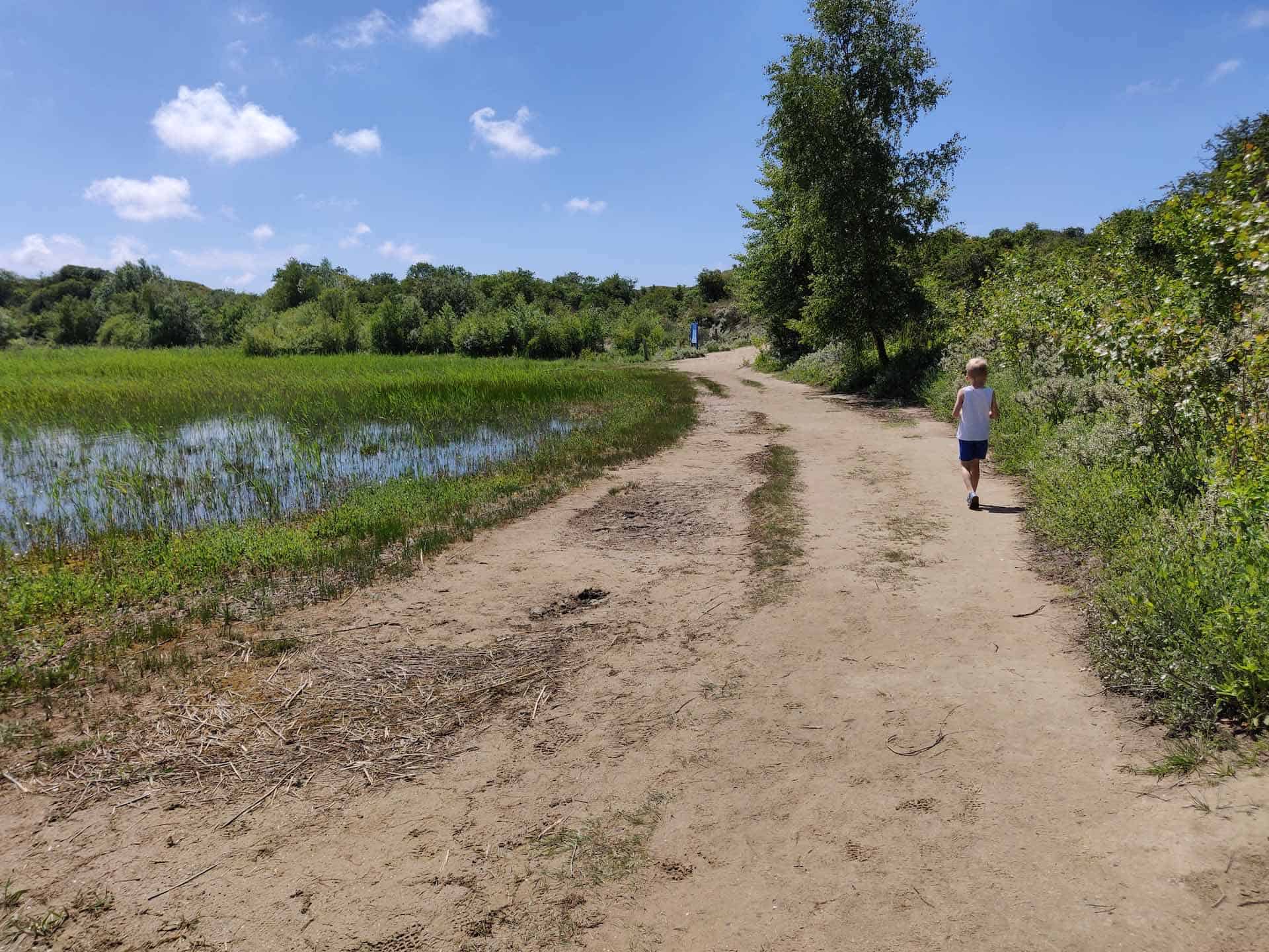 Haarlem National Park Kennemerduinen