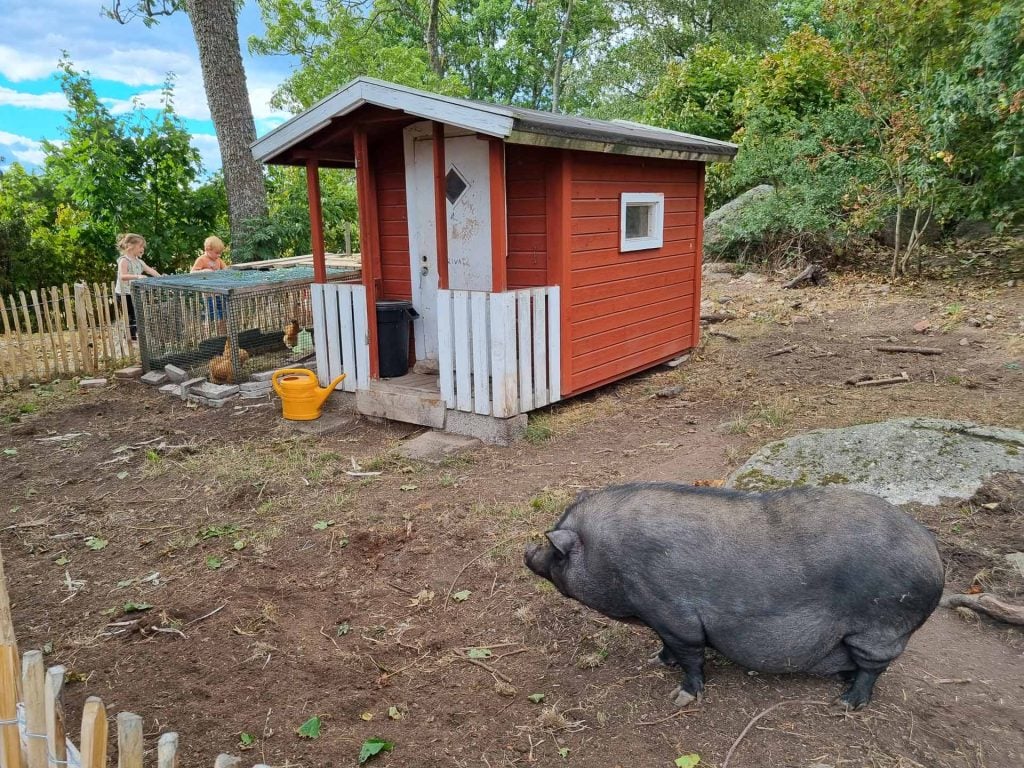 picknickmand van Äggaboden