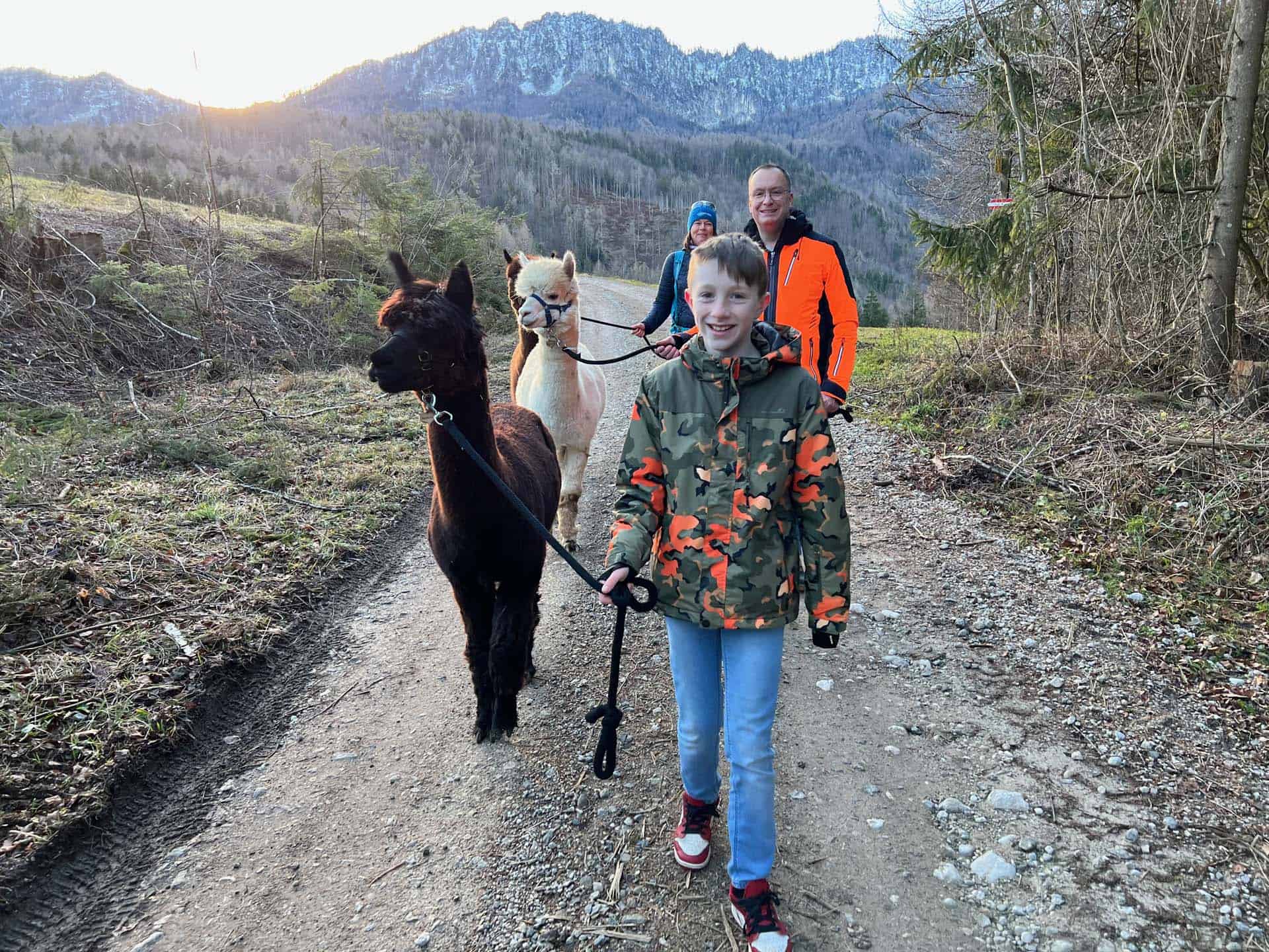 Alpaca wandelen Lindenboden