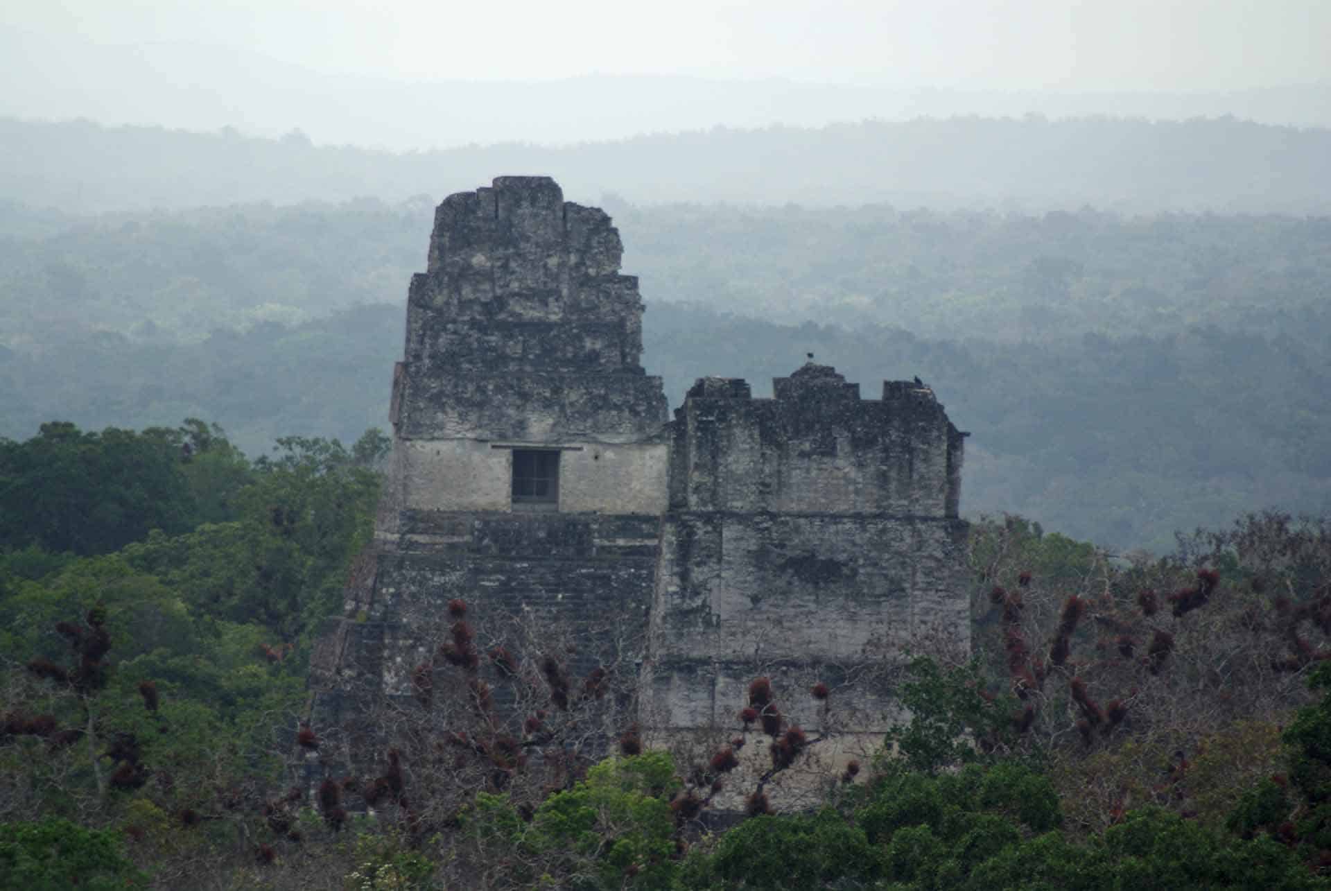 Guatamala