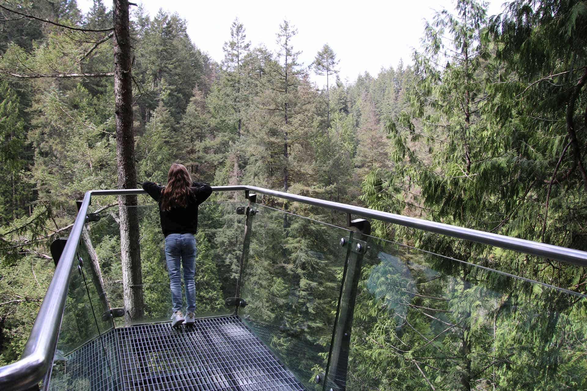 Vancouver Capilano suspension bridge