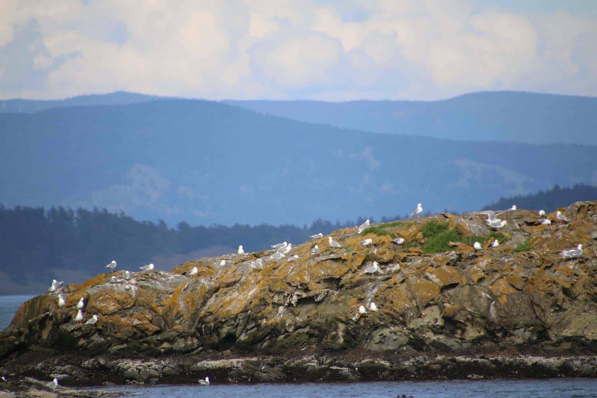 Vancouver Island 