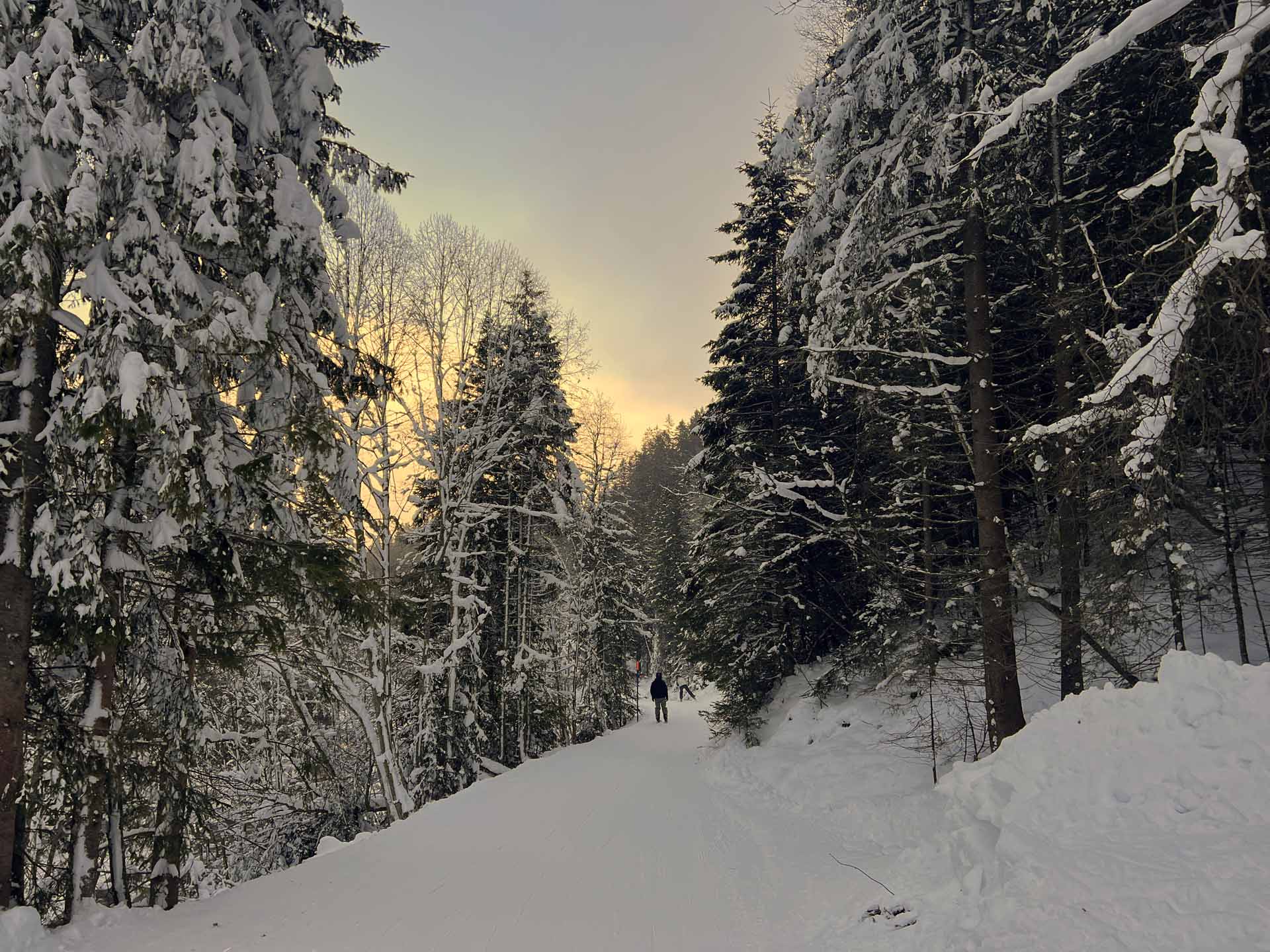 Langlauf wandelen Adelboden