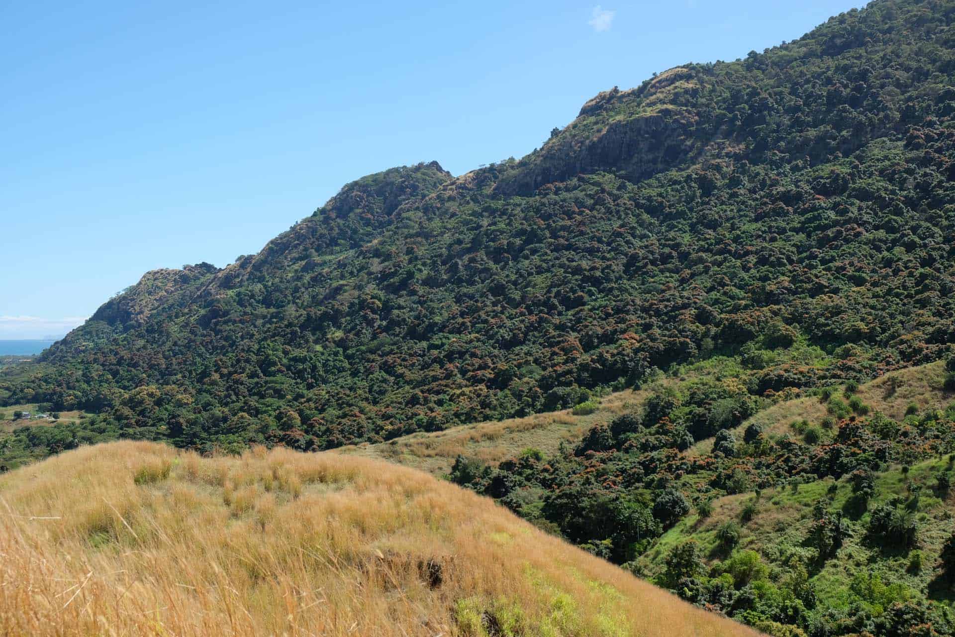 Fiji Sleeping Giant Garden