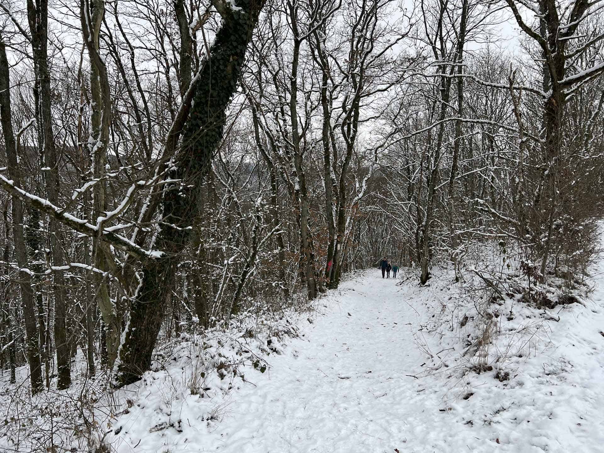 klangwanderweg wandeling