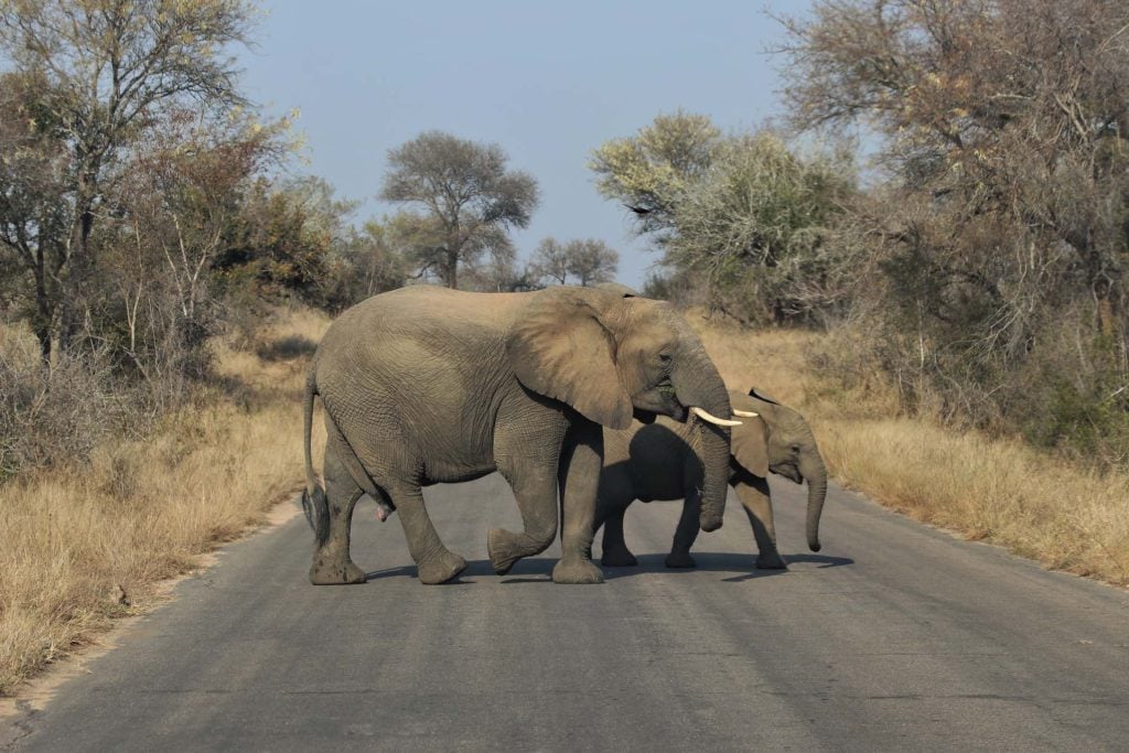 Zuid-Afrika