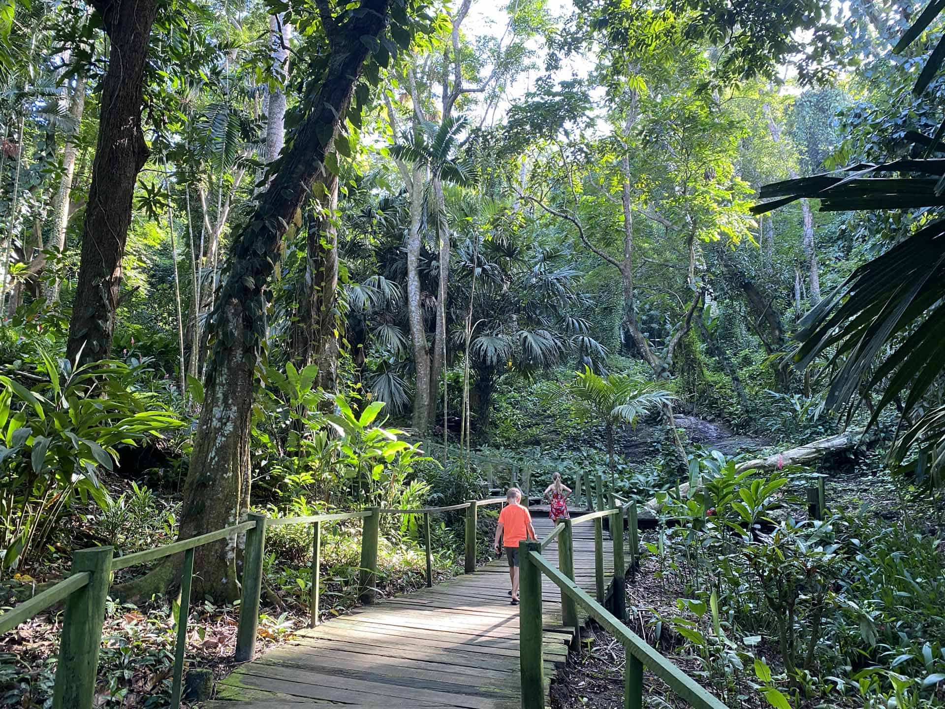 fiji met kinderen The garden of the sleeping giant