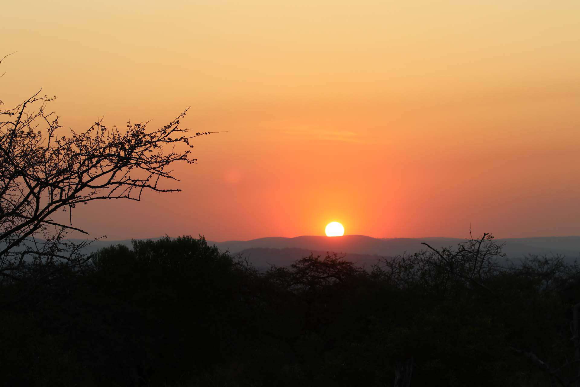 Mozambique safari