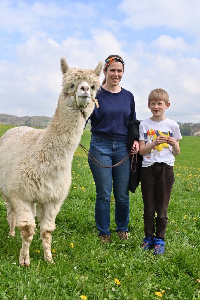 Bergisches land wandelen met alpacas