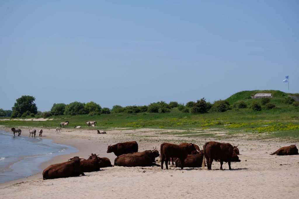 Fort Pannerden Wandeling