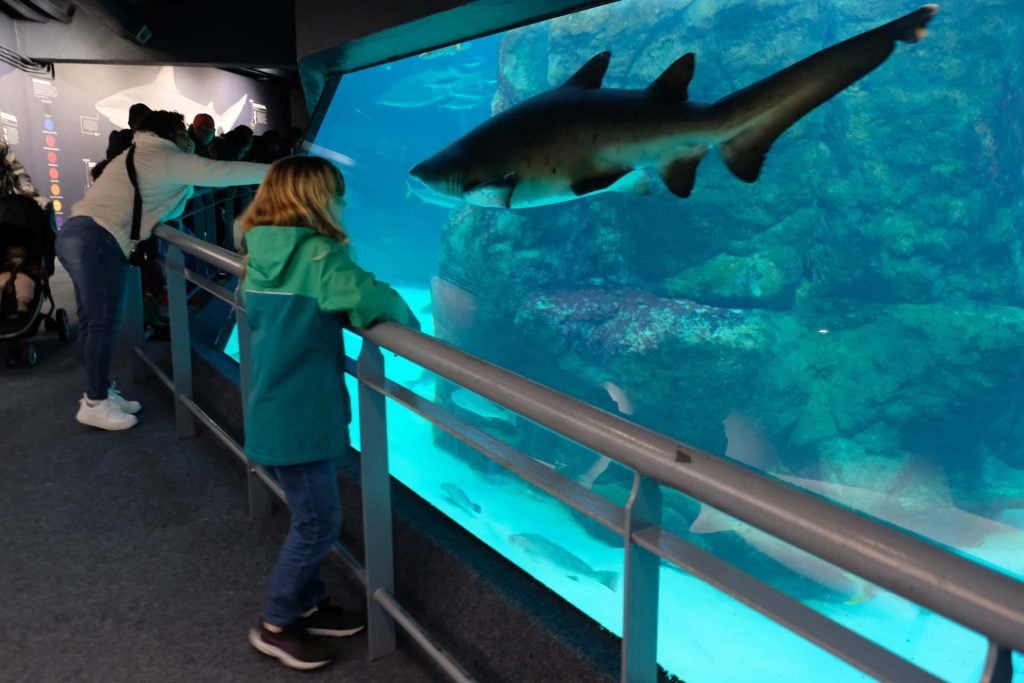 Two Oceans Aquarium