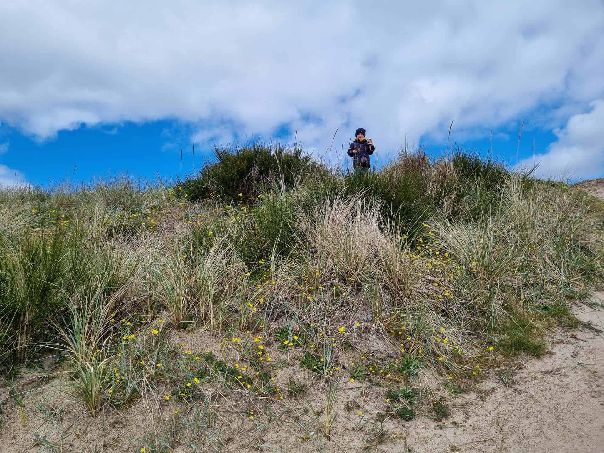 west jutland strand