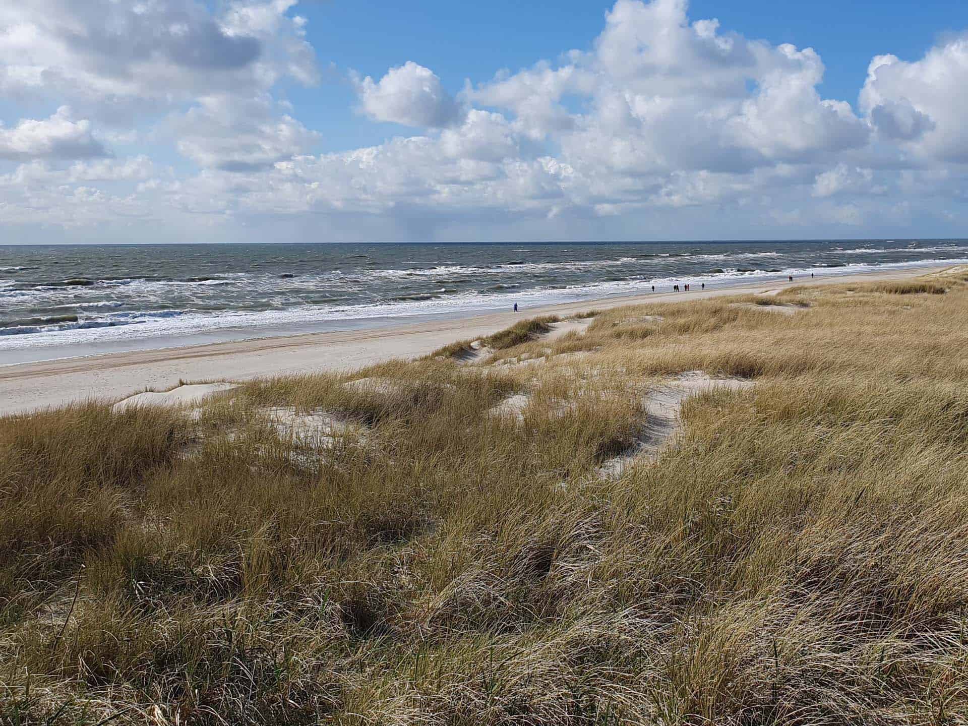 west jutland strand