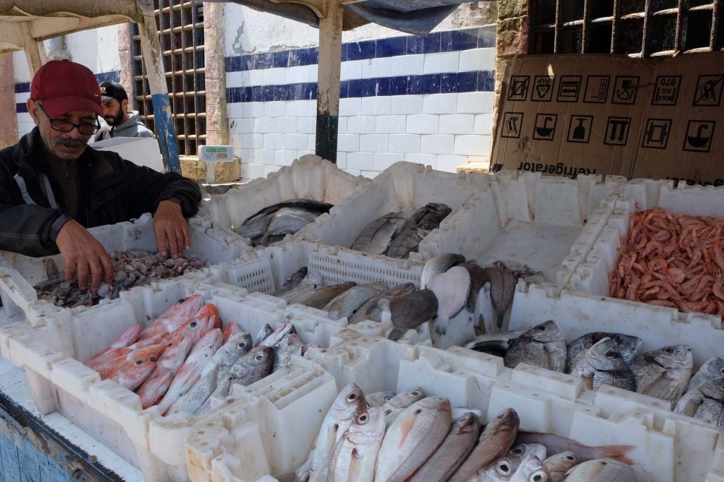 Haven van Essaouira 