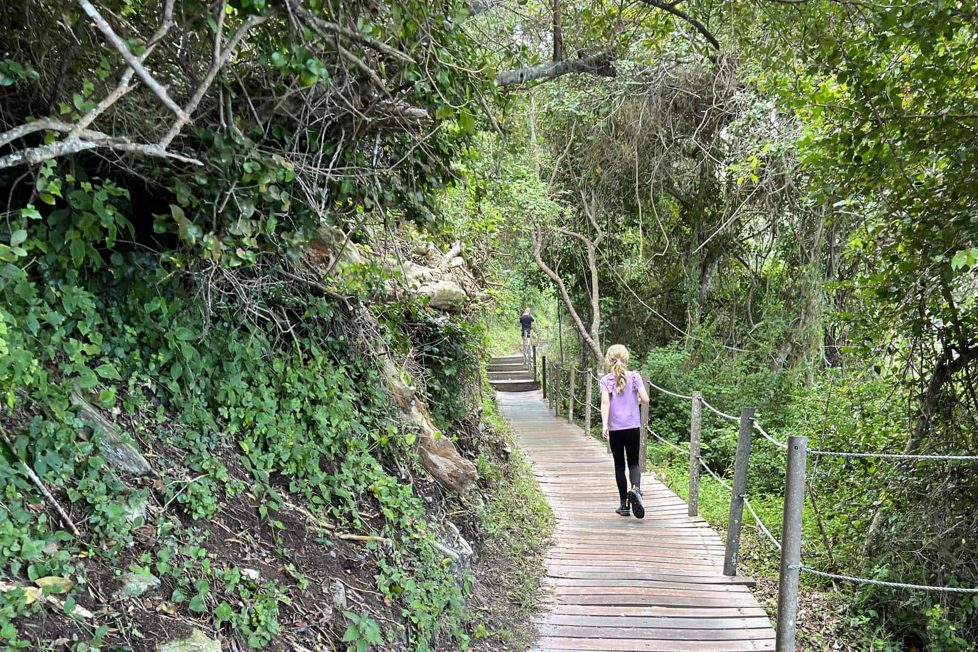 Tsitsikamma National park wandelen