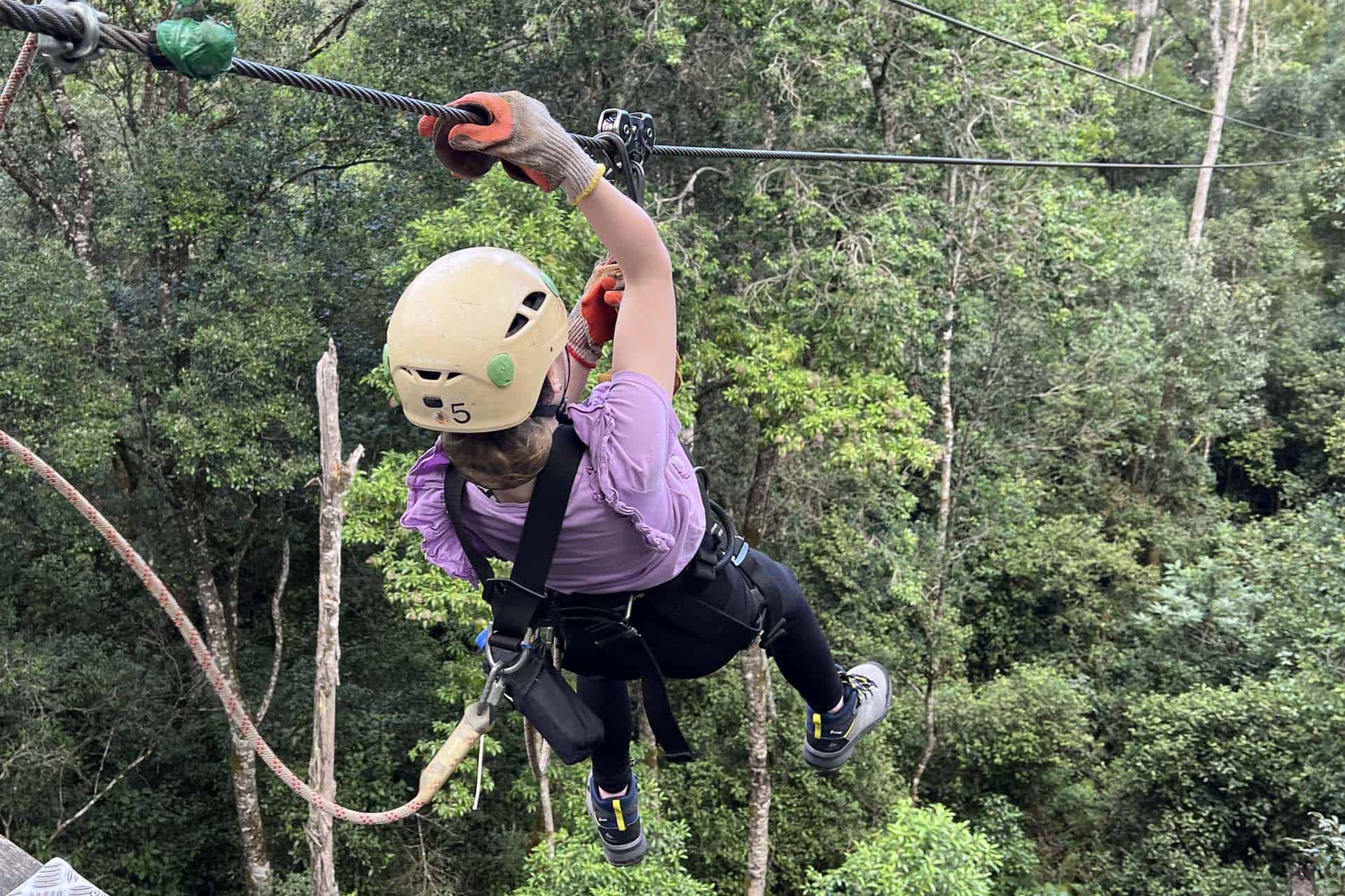 Tsitsikamma National Park Zipline