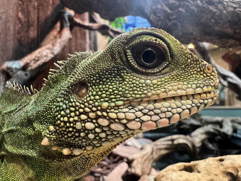 Zeeaquarium Bergen aan Zee