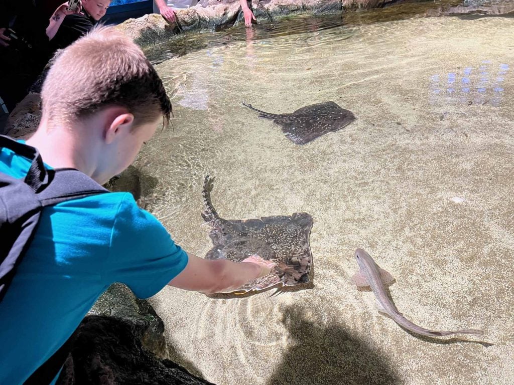 Zeeaquarium Bergen aan Zee