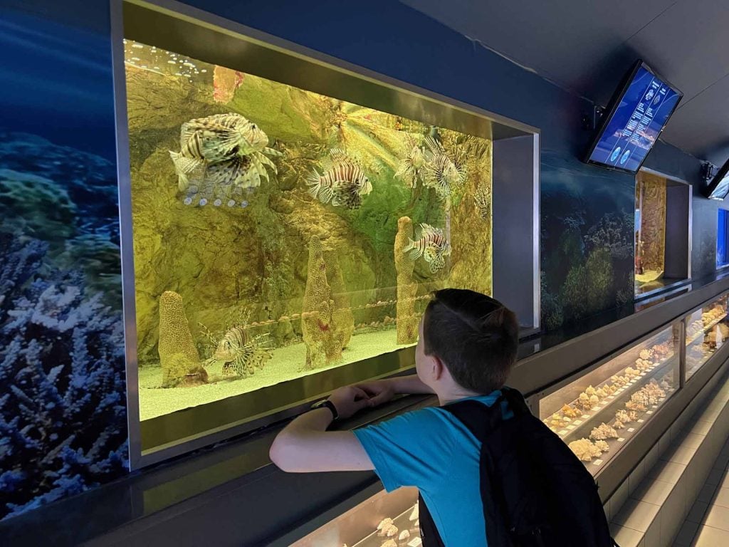 Zeeaquarium Bergen aan Zee