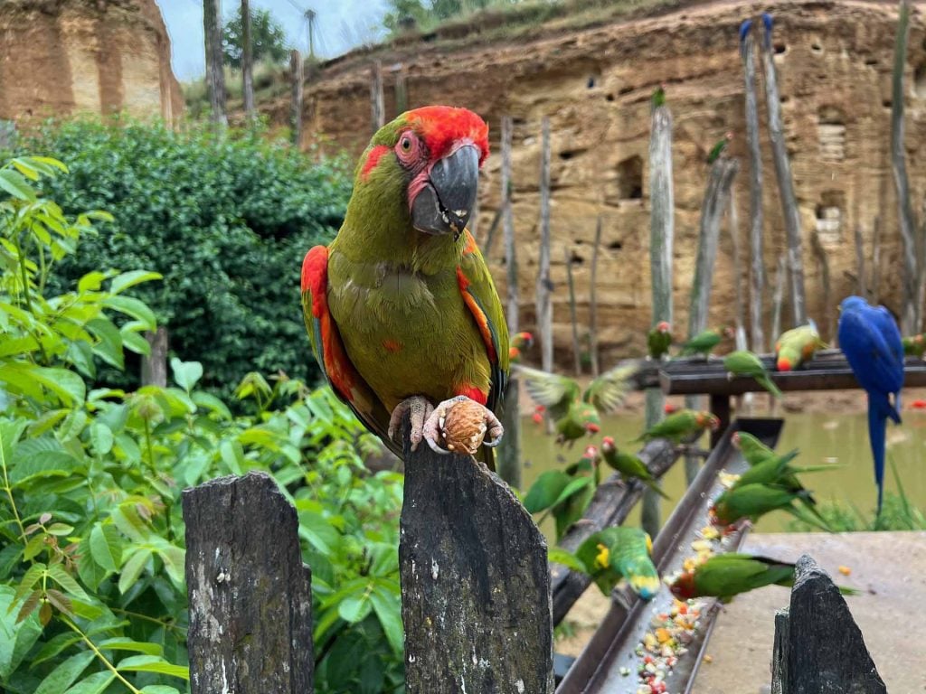 Bioparc dierentuin