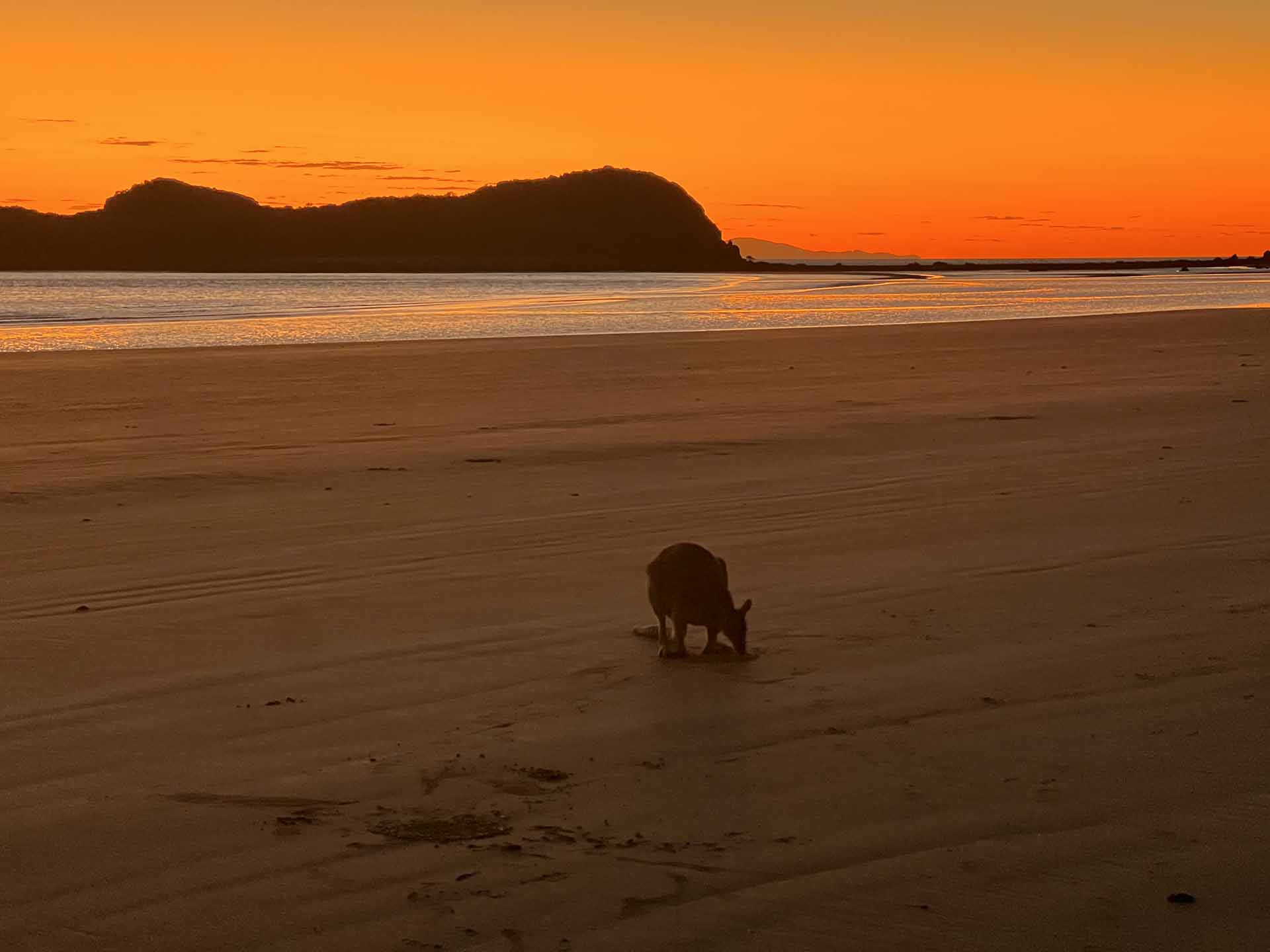 Cape Hillsborough