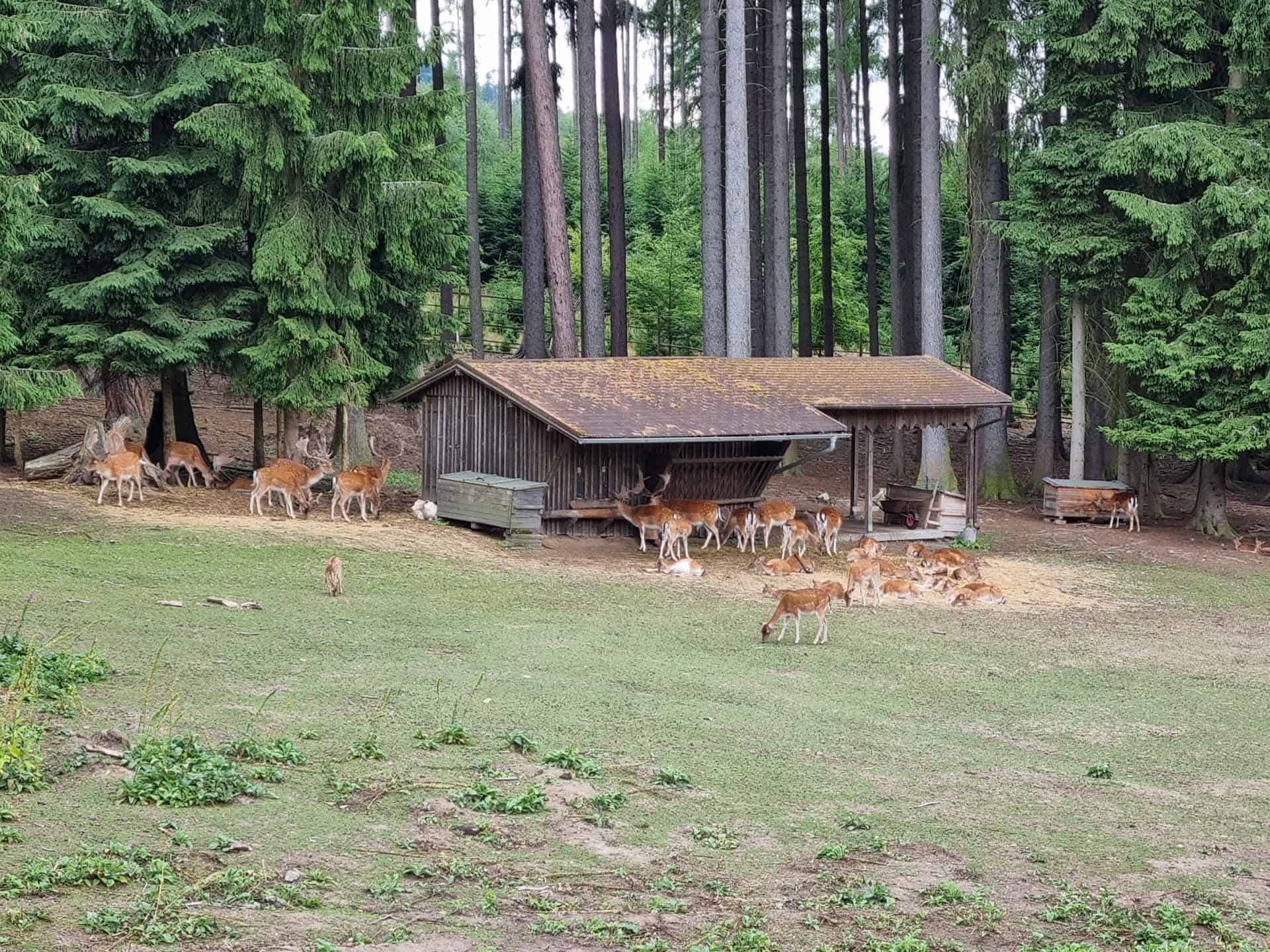 Karlovy Vary wildpark