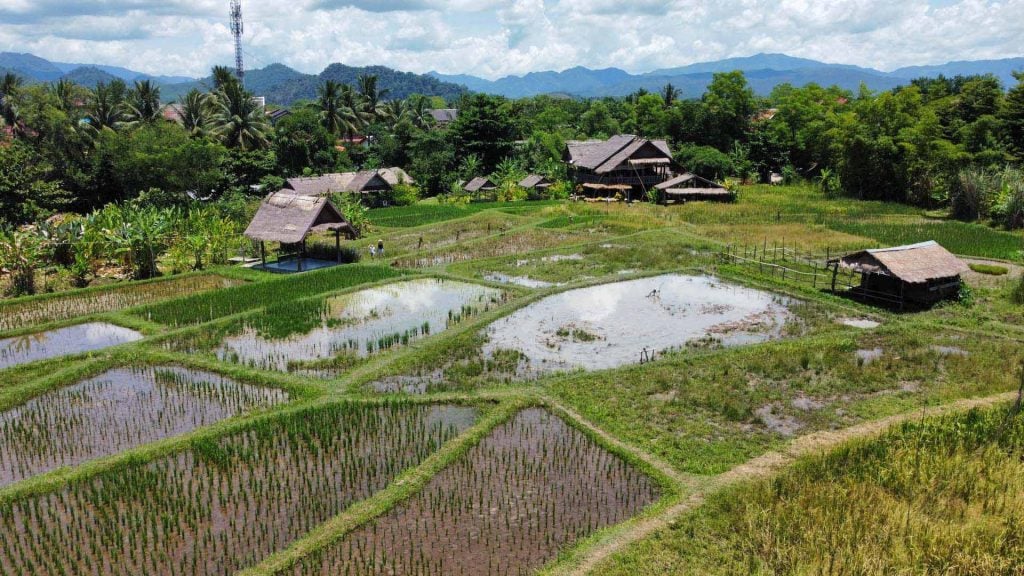 The Living Land Farm