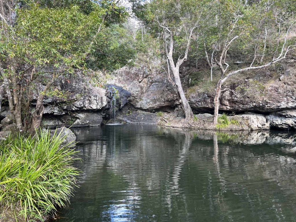Sunshine coast Kondalilla