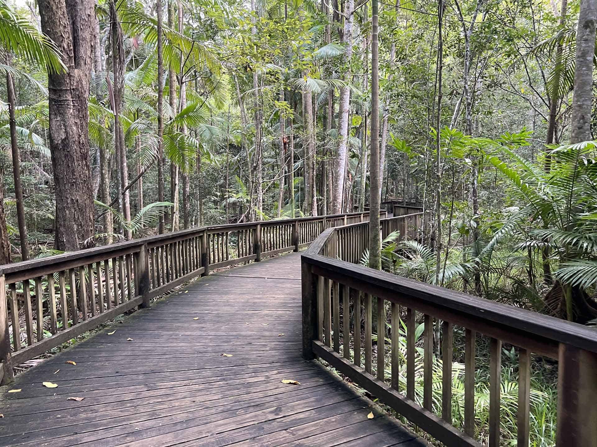 Sunshine coast buderin