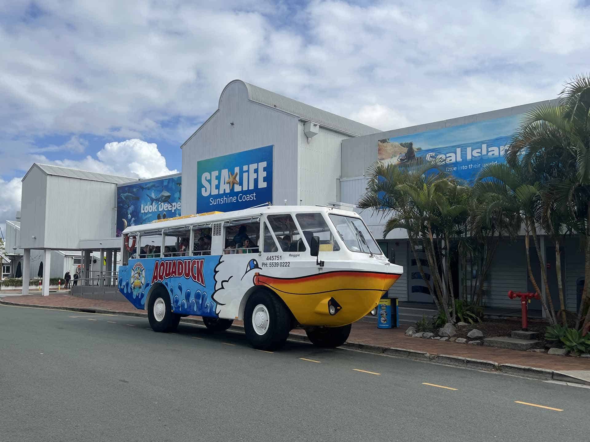 Sunshine coast mooloolaba
